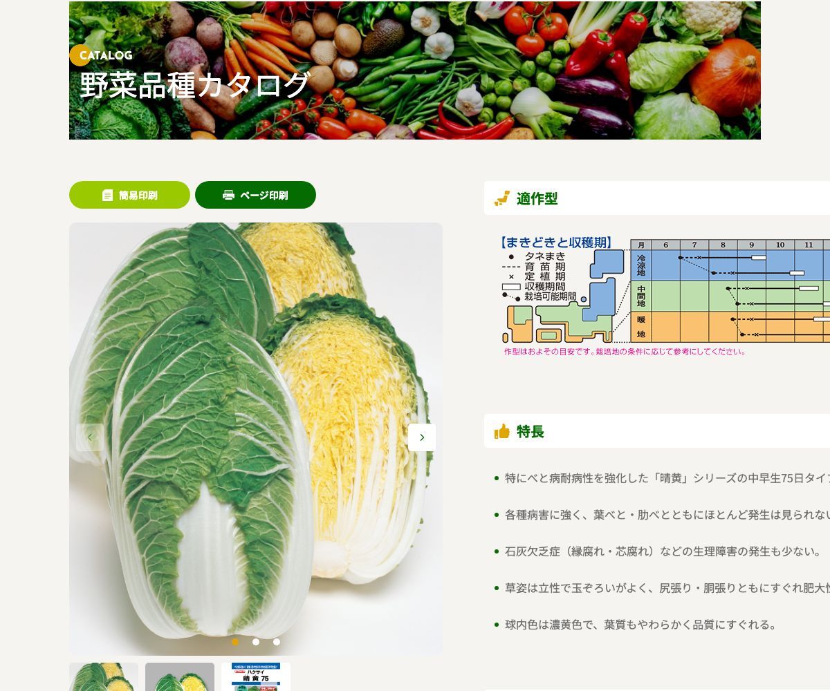 晴黄75