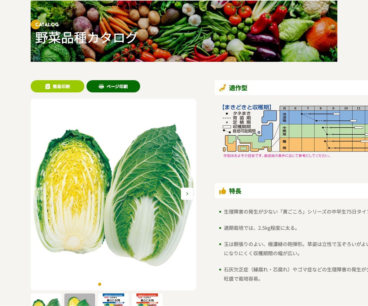 黄ごころ75