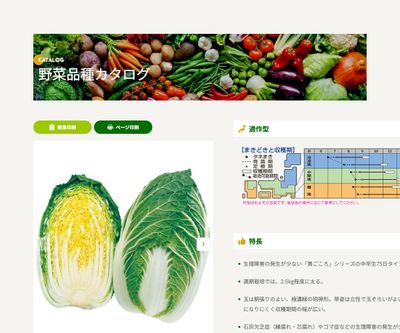 黄ごころ75の画像