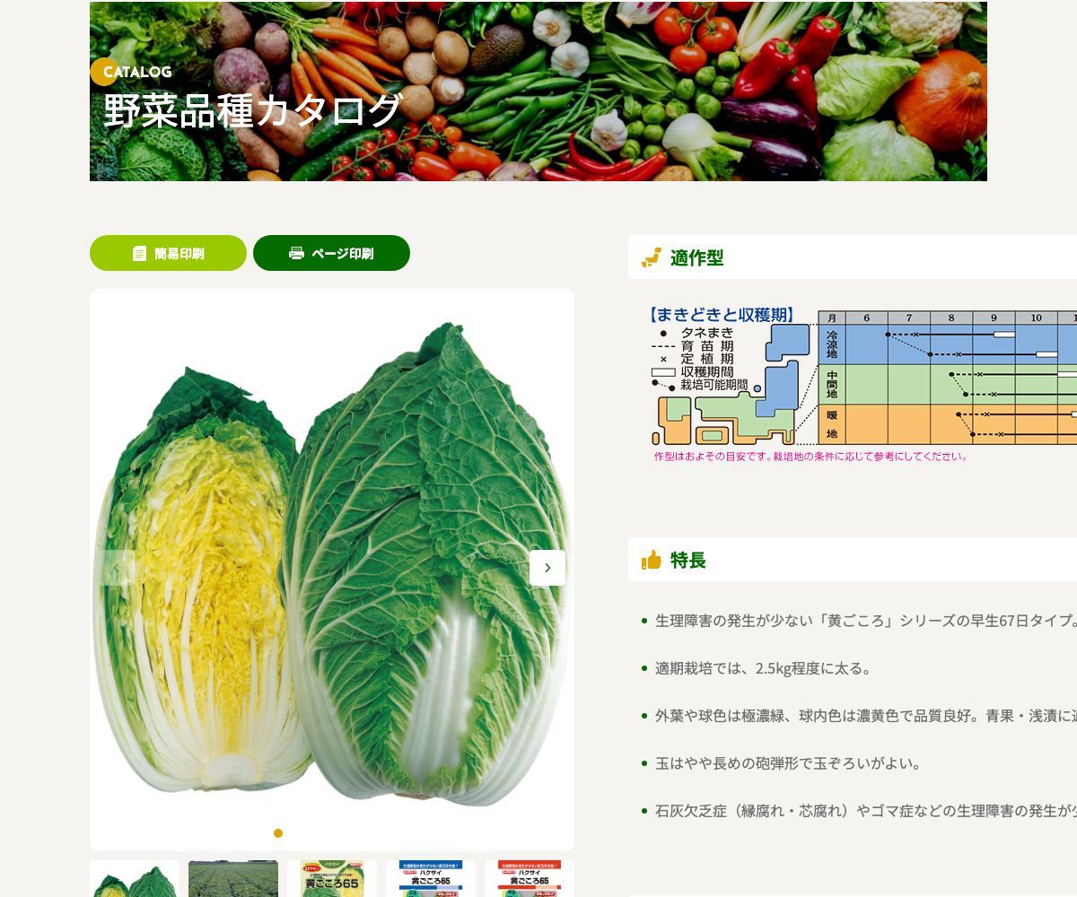 黄ごころ65