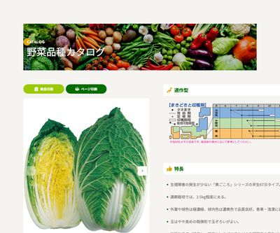 黄ごころ65の画像