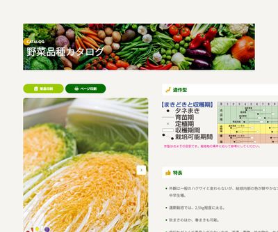 オレンジクインの画像