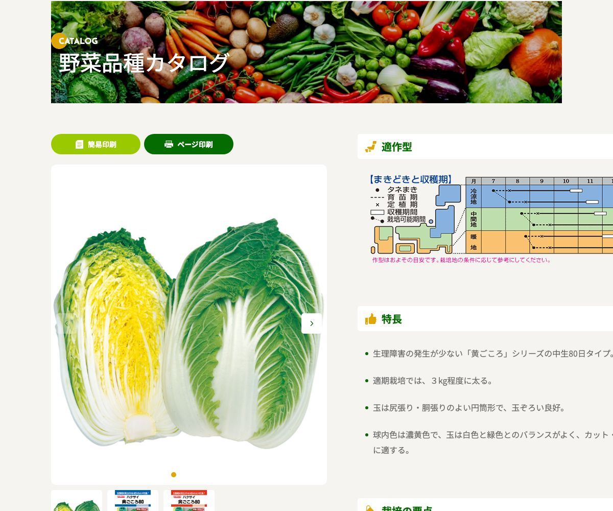 黄ごころ80