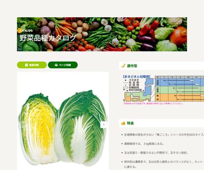 黄ごころ80の画像