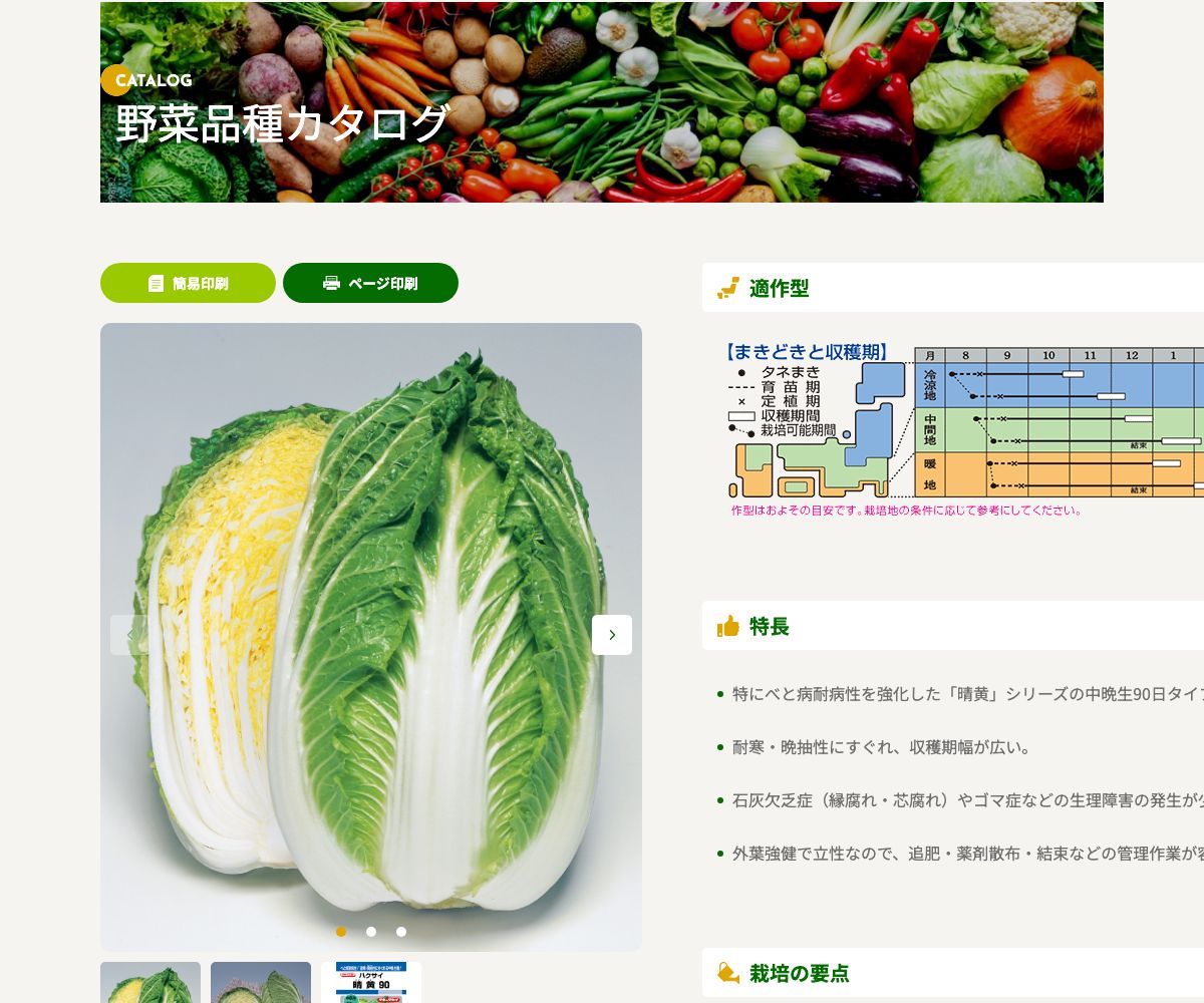 晴黄90