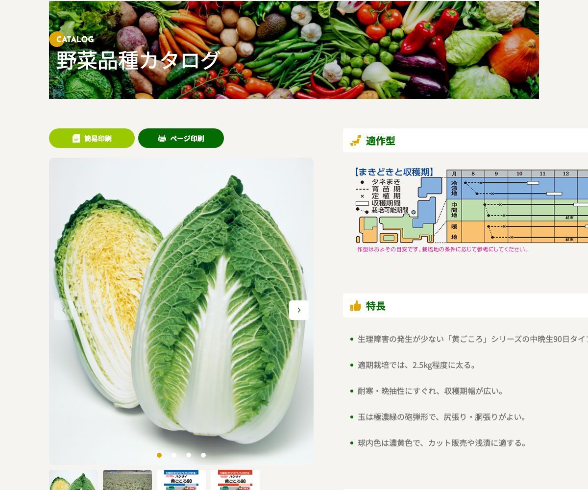 黄ごころ90