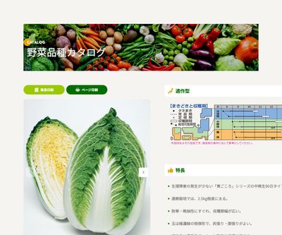 黄ごころ90の画像