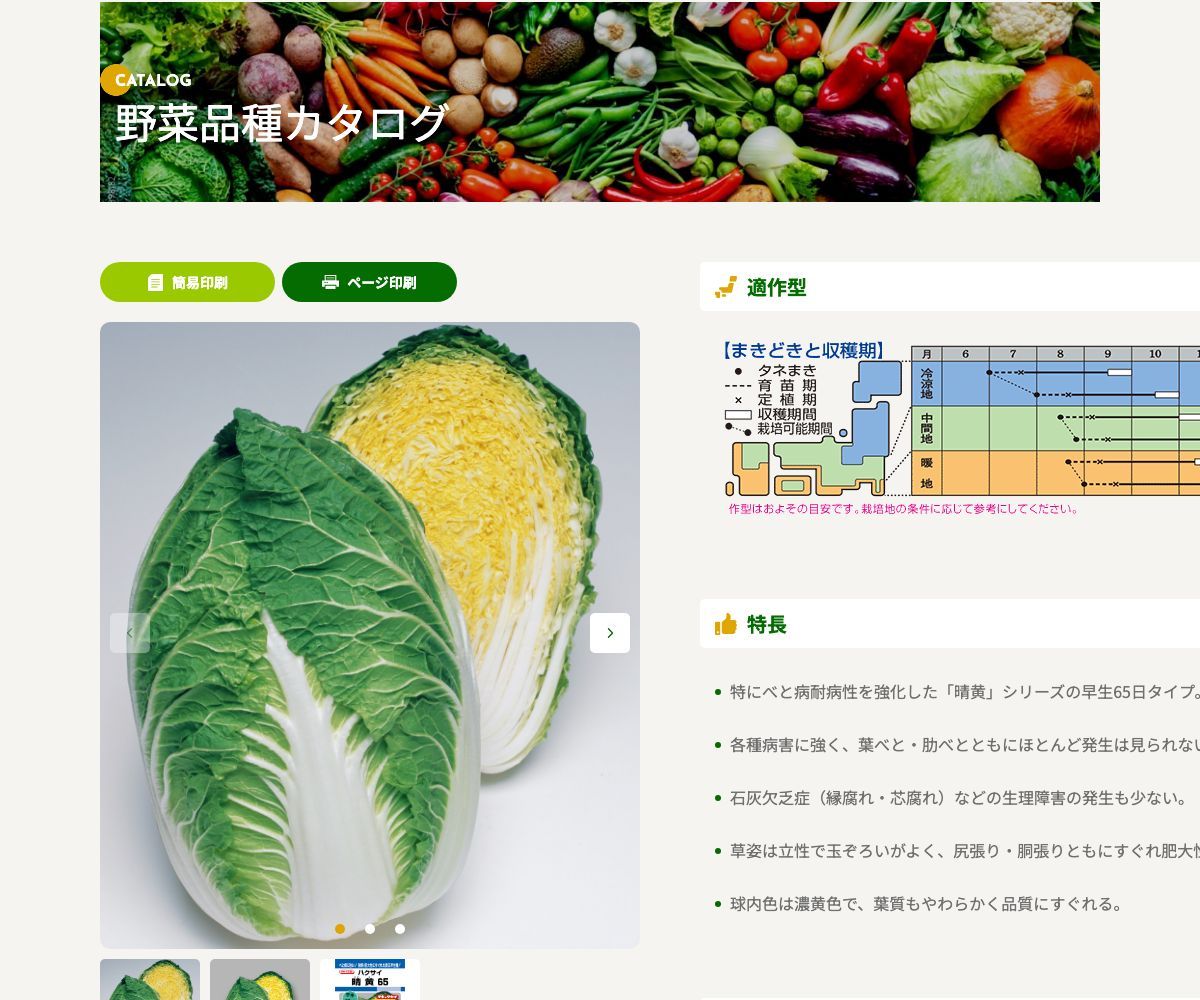 晴黄65