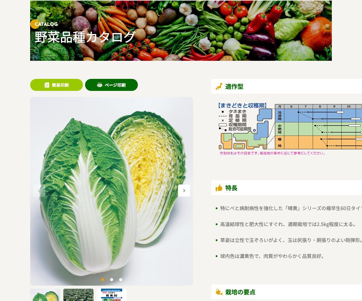 晴黄60