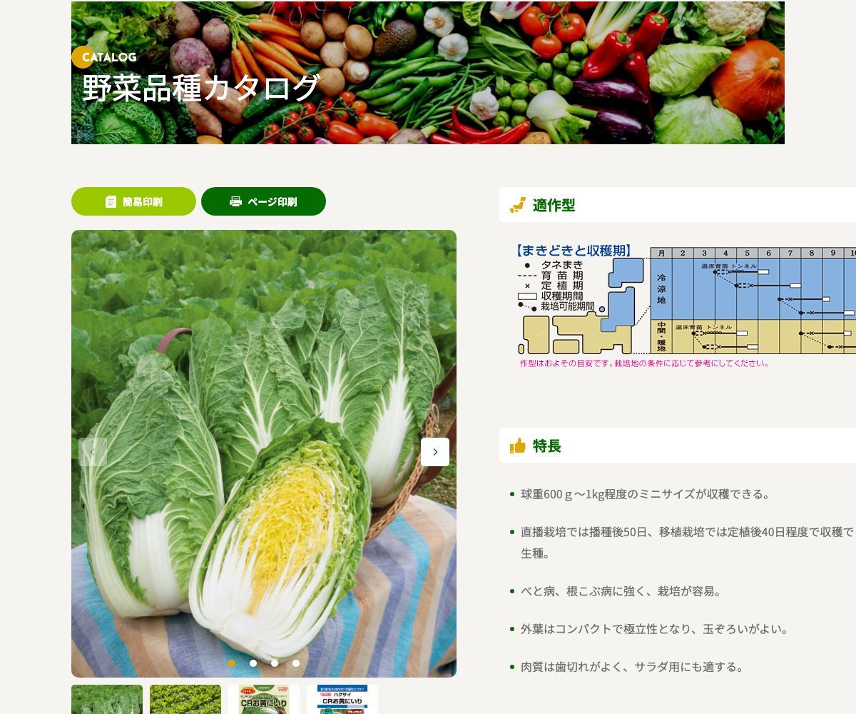 CRお黄にいり