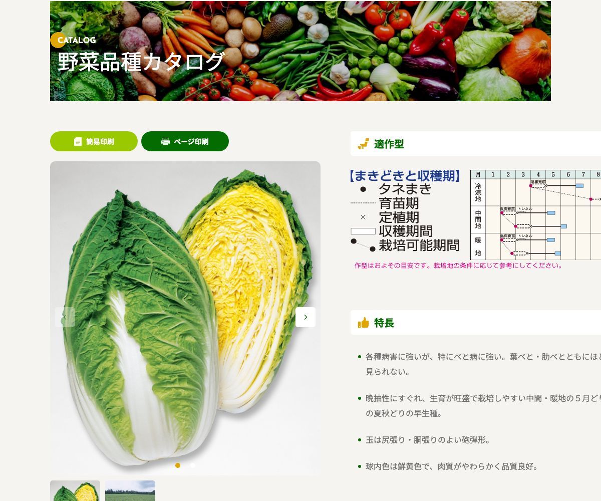 晴舞台65
