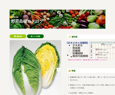 晴舞台65の画像