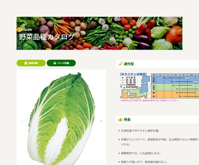 耐病六十日の画像