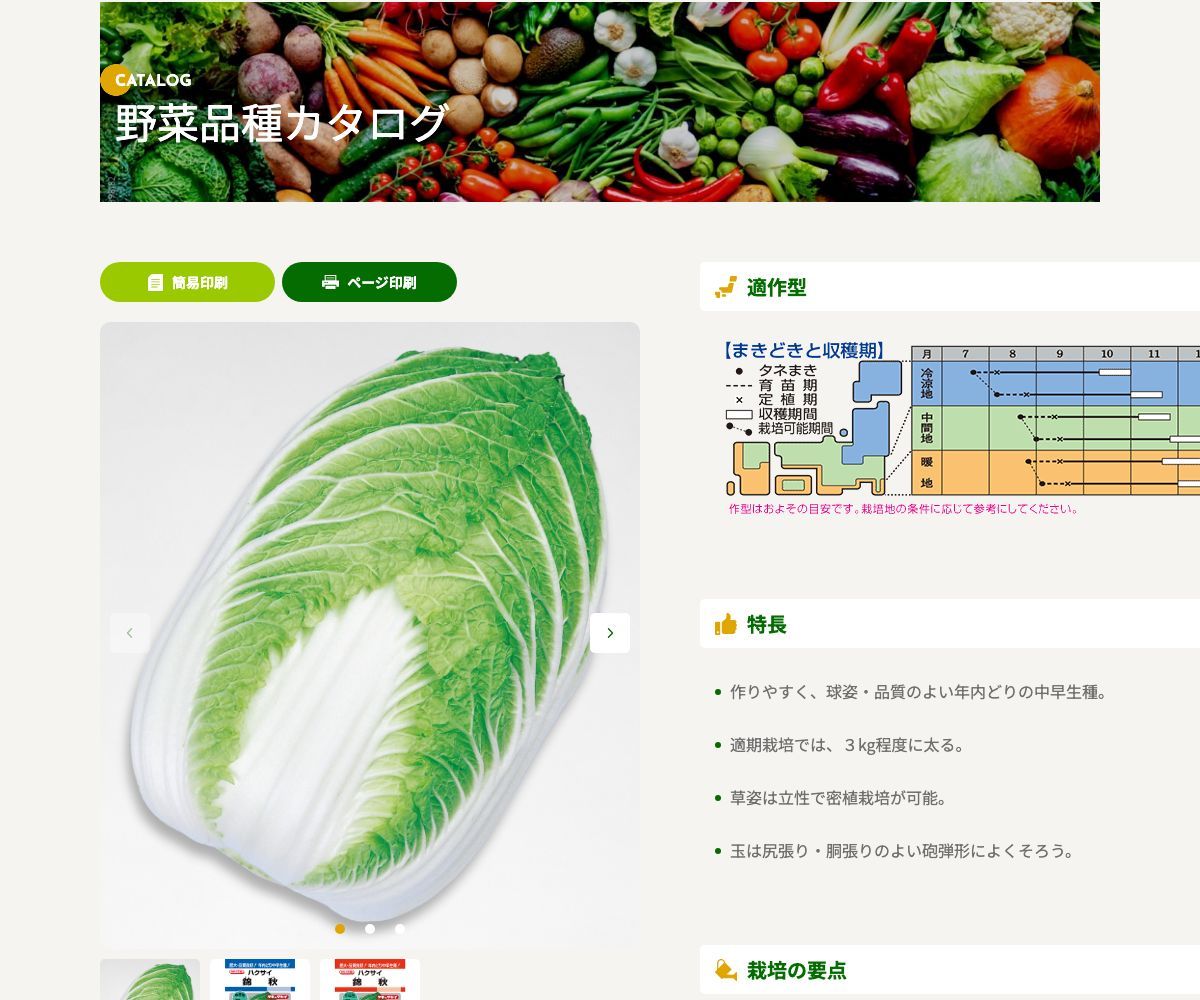 錦秋