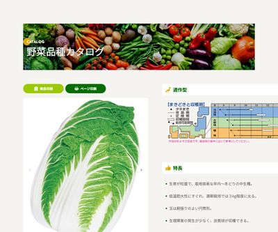 金将二号の画像