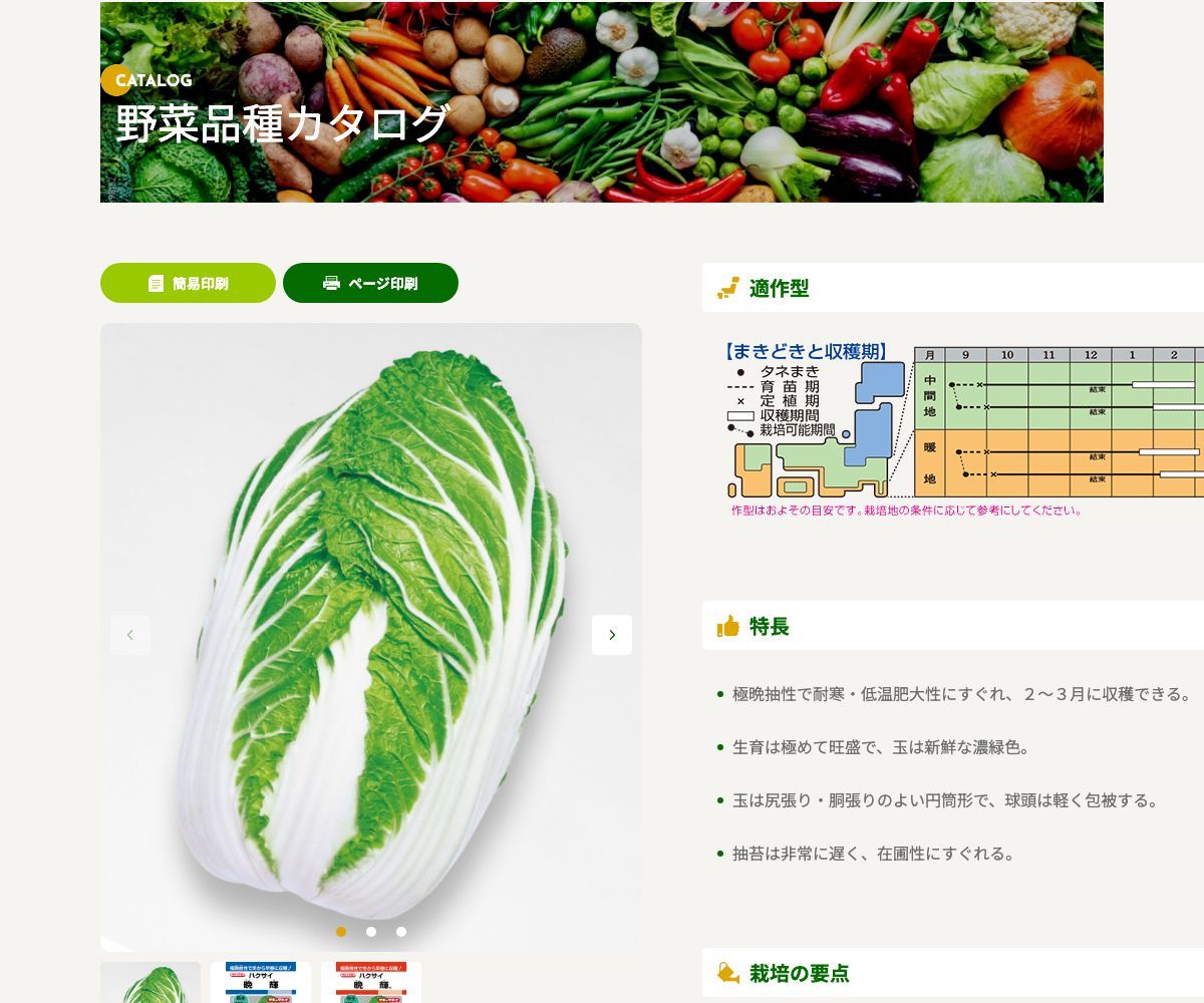 晩輝