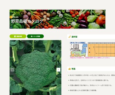 チャレンジャーSPの画像