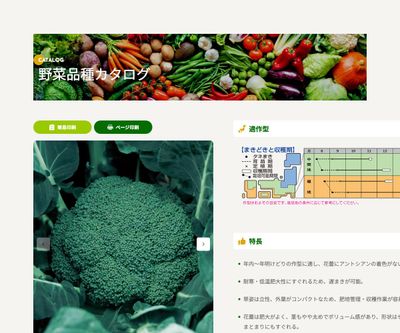 キャッスルの画像