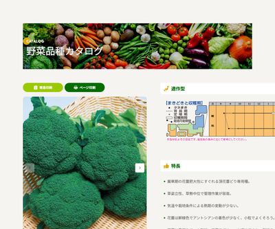 メガドームの画像