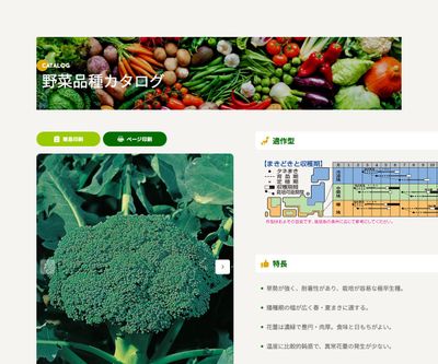 シャスターの画像